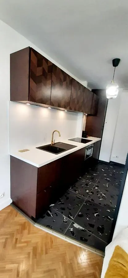 Studio Le 119, Aix Les Bains - Grand Port - Vue Lac Splendide Aix-les-Bains 0*,  France